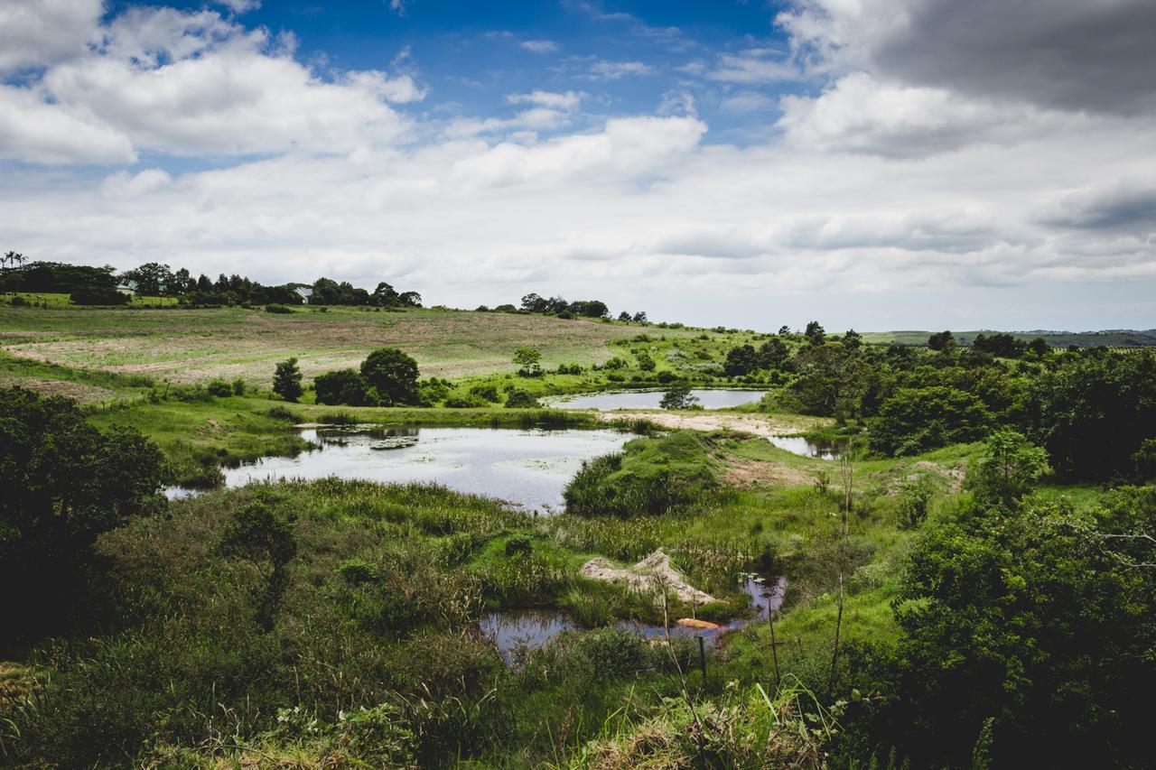 فندق Glendaleفي  Oribi Gorge Guest Farm المظهر الخارجي الصورة